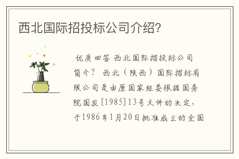 西北国际招投标公司介绍？