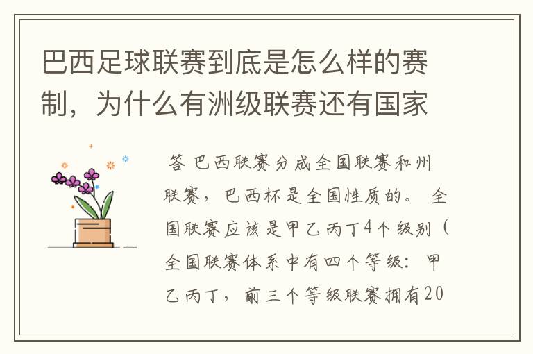 巴西足球联赛到底是怎么样的赛制，为什么有洲级联赛还有国家联赛，虽然还参加南美联赛，赛事这么忙怎么比