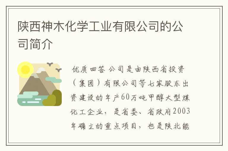 陕西神木化学工业有限公司的公司简介