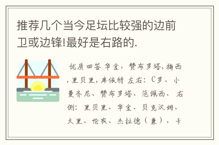 推荐几个当今足坛比较强的边前卫或边锋!最好是右路的.