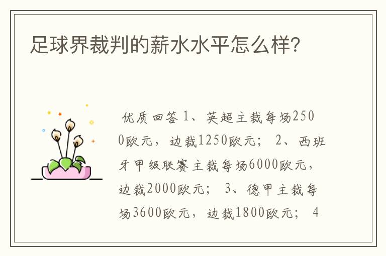 足球界裁判的薪水水平怎么样？