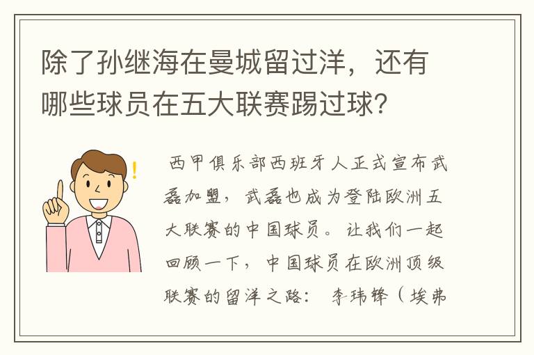 除了孙继海在曼城留过洋，还有哪些球员在五大联赛踢过球？