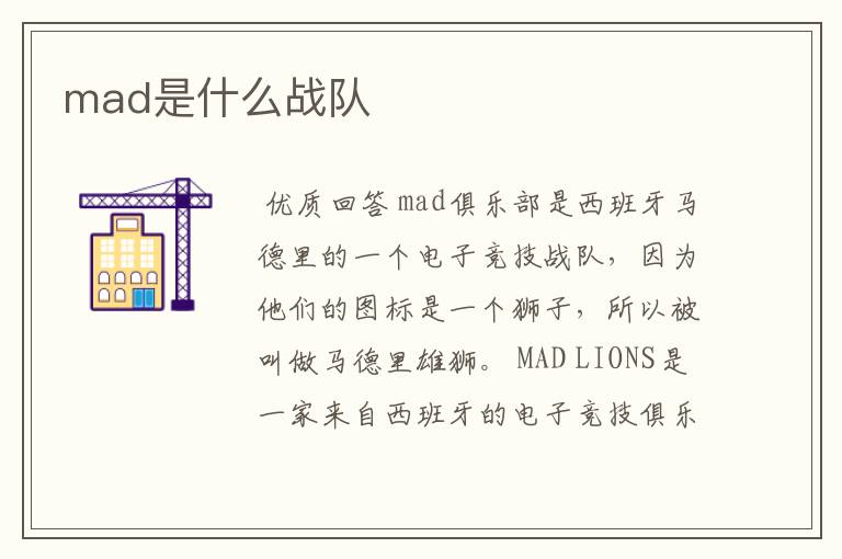 mad是什么战队