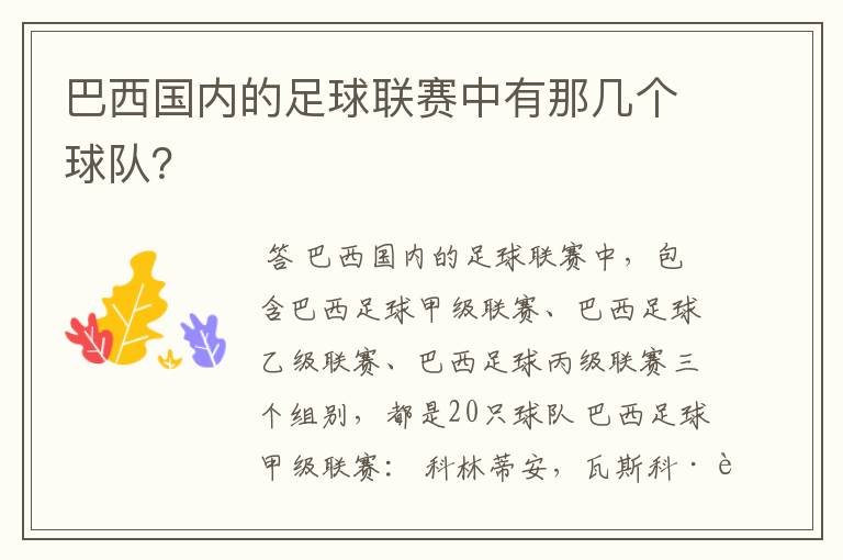 巴西国内的足球联赛中有那几个球队？