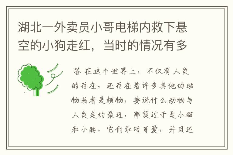 湖北一外卖员小哥电梯内救下悬空的小狗走红，当时的情况有多紧急？