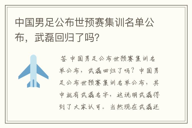 中国男足公布世预赛集训名单公布，武磊回归了吗？