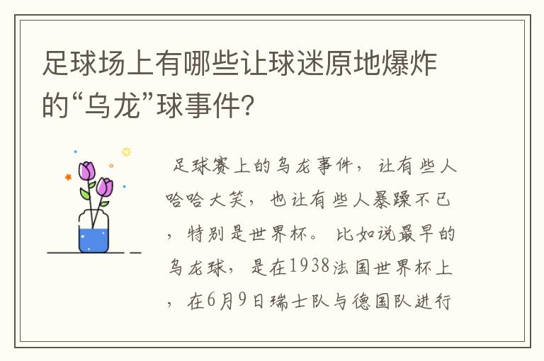 足球场上有哪些让球迷原地爆炸的“乌龙”球事件？