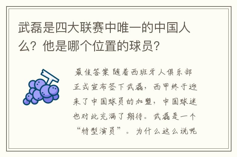 武磊是四大联赛中唯一的中国人么？他是哪个位置的球员？