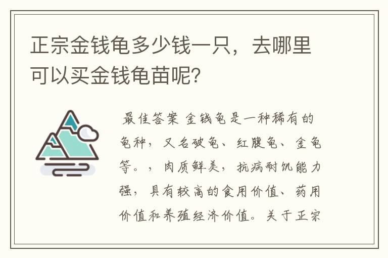 正宗金钱龟多少钱一只，去哪里可以买金钱龟苗呢？