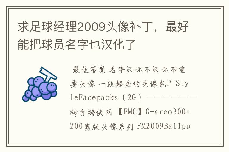 求足球经理2009头像补丁，最好能把球员名字也汉化了