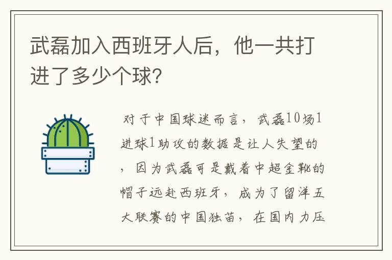 武磊加入西班牙人后，他一共打进了多少个球？