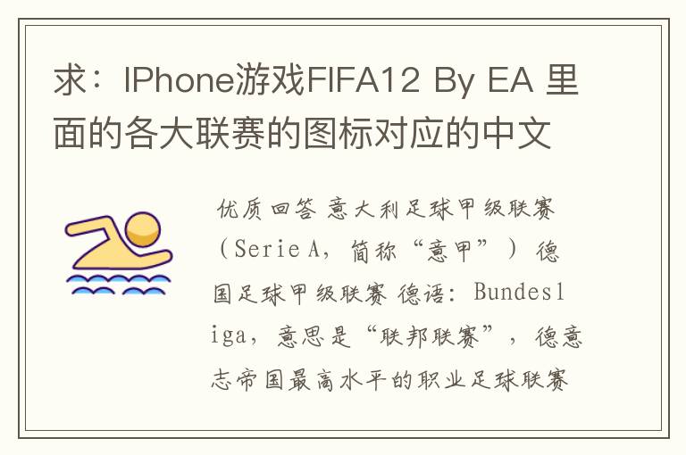 求：IPhone游戏FIFA12 By EA 里面的各大联赛的图标对应的中文名称 例如：Liga BBVA 西甲