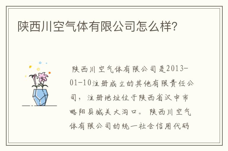 陕西川空气体有限公司怎么样？