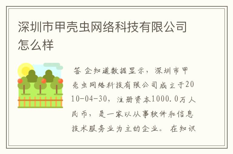 深圳市甲壳虫网络科技有限公司怎么样