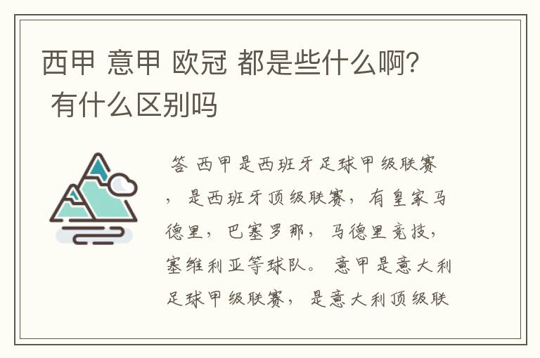 西甲 意甲 欧冠 都是些什么啊？ 有什么区别吗