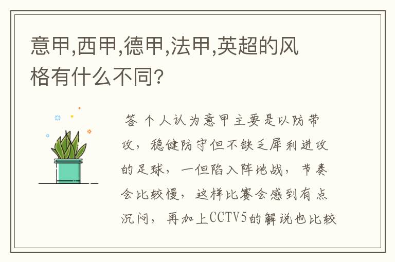 意甲,西甲,德甲,法甲,英超的风格有什么不同?