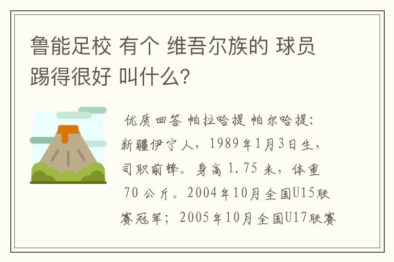 鲁能足校 有个 维吾尔族的 球员踢得很好 叫什么？