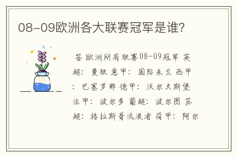 08-09欧洲各大联赛冠军是谁？