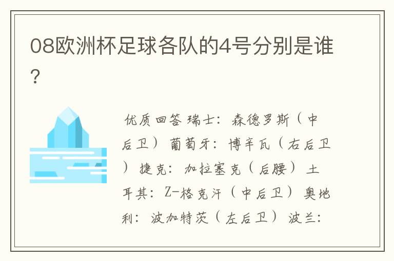 08欧洲杯足球各队的4号分别是谁?