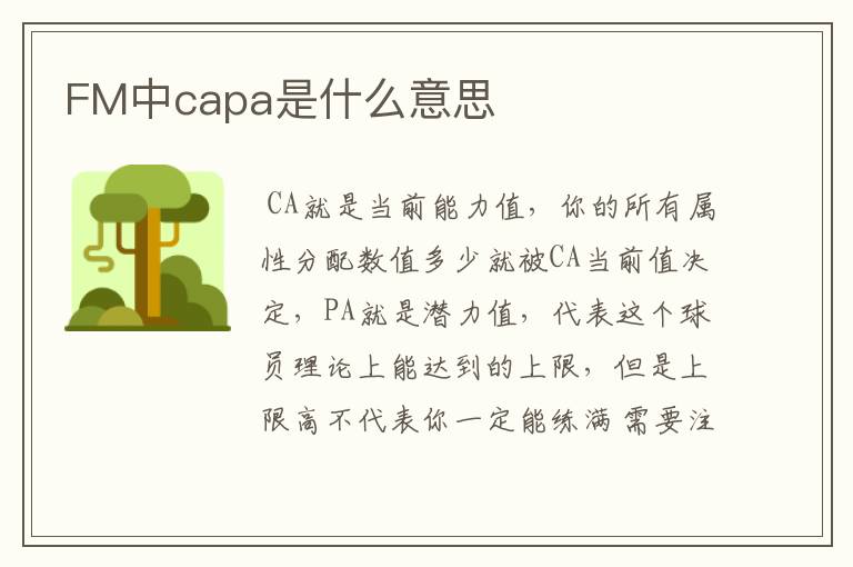 FM中capa是什么意思