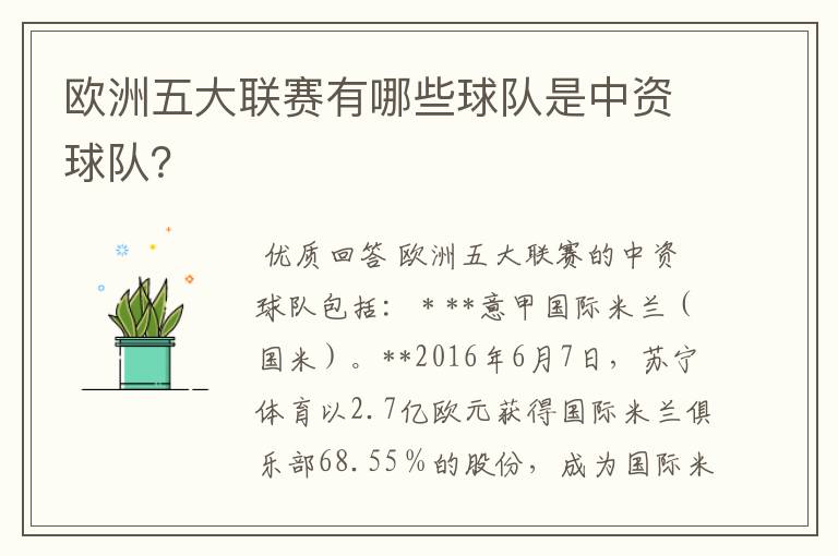 欧洲五大联赛有哪些球队是中资球队？