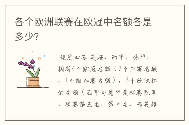 各个欧洲联赛在欧冠中名额各是多少？