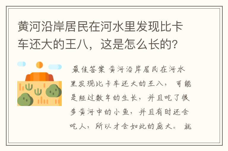 黄河沿岸居民在河水里发现比卡车还大的王八，这是怎么长的?