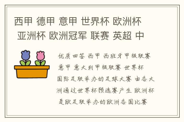 西甲 德甲 意甲 世界杯 欧洲杯 亚洲杯 欧洲冠军 联赛 英超 中超  分别是什么意思啊？