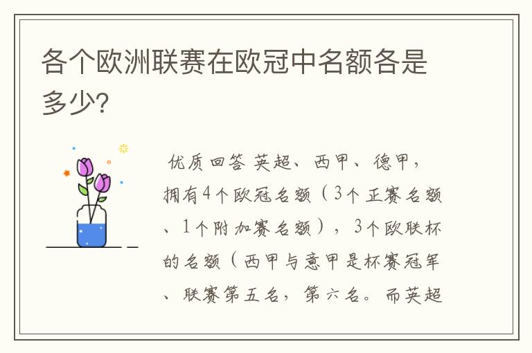 各个欧洲联赛在欧冠中名额各是多少？