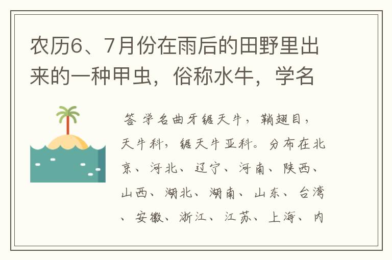 农历6、7月份在雨后的田野里出来的一种甲虫，俗称水牛，学名是什么