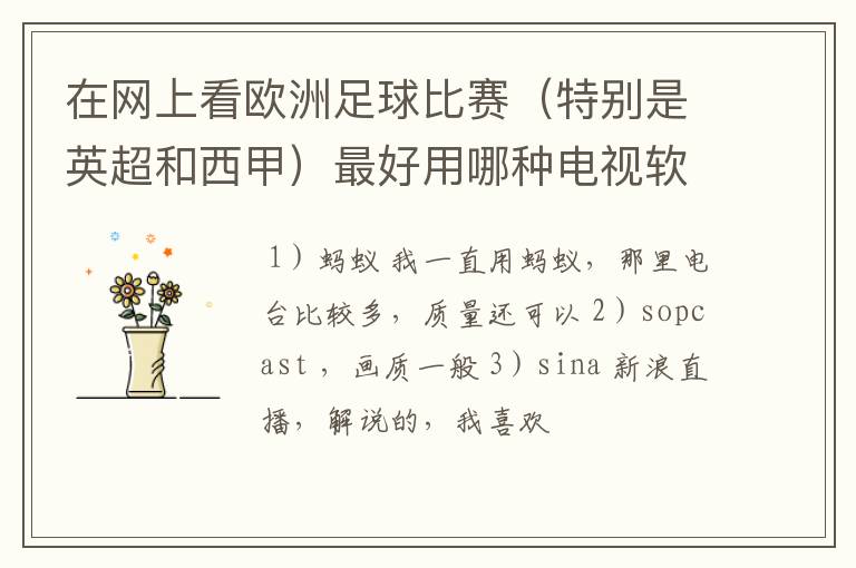 在网上看欧洲足球比赛（特别是英超和西甲）最好用哪种电视软件呢？