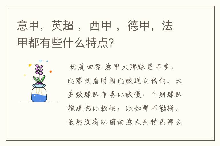 意甲，英超 ，西甲 ，德甲，法甲都有些什么特点？