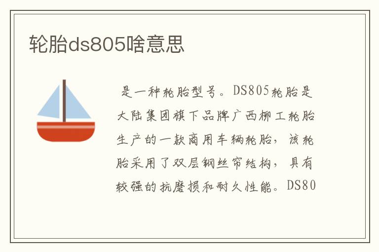 轮胎ds805啥意思