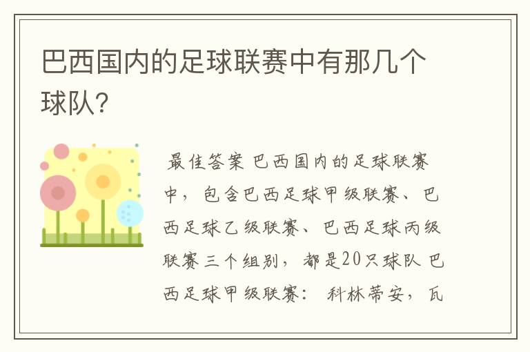 巴西国内的足球联赛中有那几个球队？