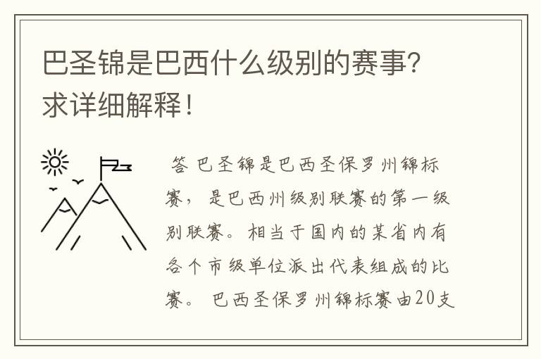 巴圣锦是巴西什么级别的赛事？求详细解释！