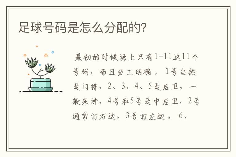 足球号码是怎么分配的？