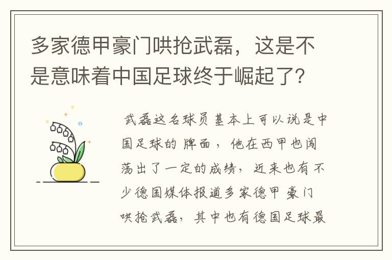 多家德甲豪门哄抢武磊，这是不是意味着中国足球终于崛起了？