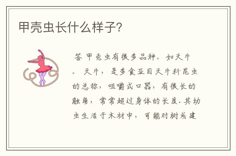 甲壳虫长什么样子？