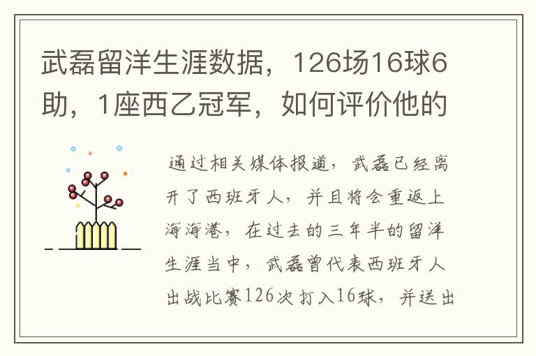 武磊留洋生涯数据，126场16球6助，1座西乙冠军，如何评价他的表现？