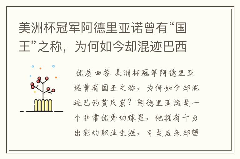 美洲杯冠军阿德里亚诺曾有“国王”之称，为何如今却混迹巴西贫民窟？