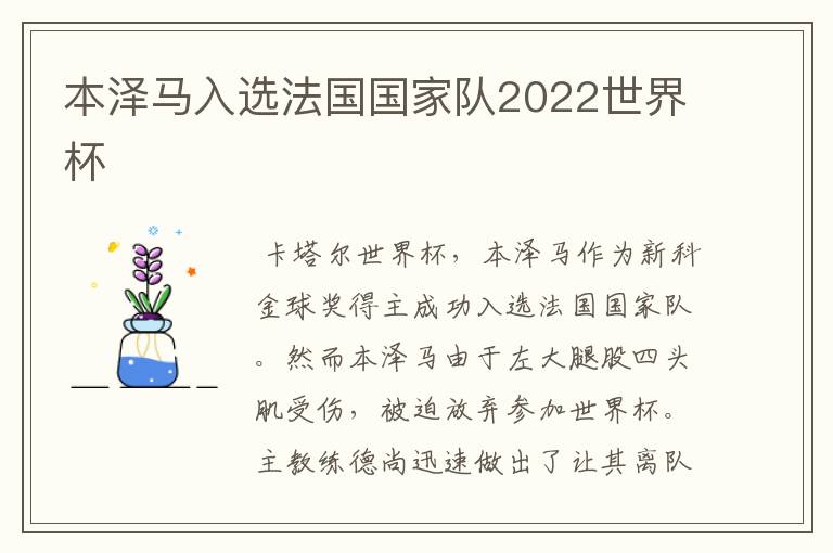 本泽马入选法国国家队2022世界杯