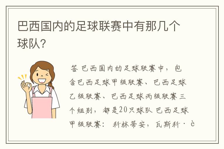 巴西国内的足球联赛中有那几个球队？