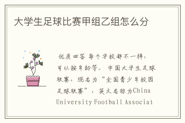 大学生足球比赛甲组乙组怎么分