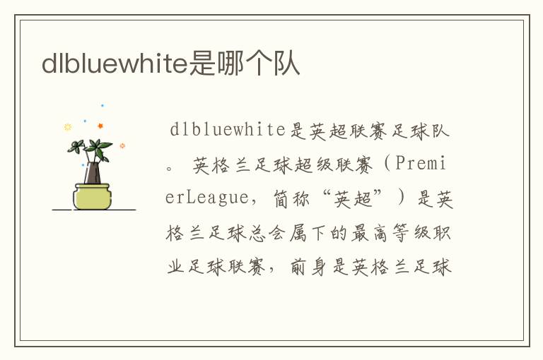 dlbluewhite是哪个队