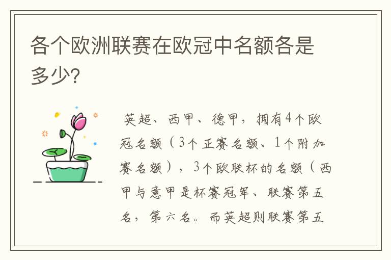 各个欧洲联赛在欧冠中名额各是多少？