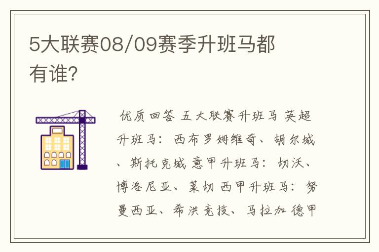 5大联赛08/09赛季升班马都有谁？