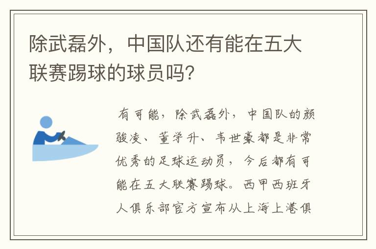 除武磊外，中国队还有能在五大联赛踢球的球员吗？