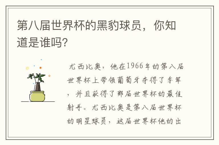 第八届世界杯的黑豹球员，你知道是谁吗？