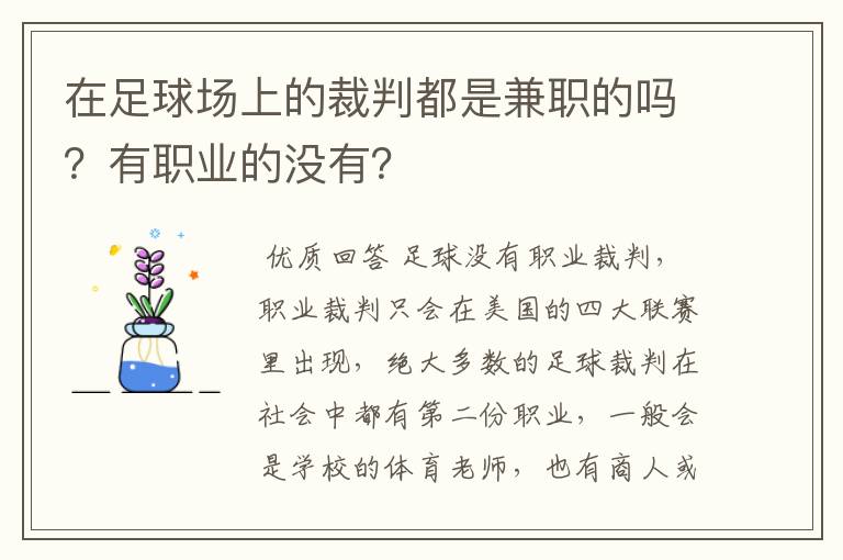 在足球场上的裁判都是兼职的吗？有职业的没有？