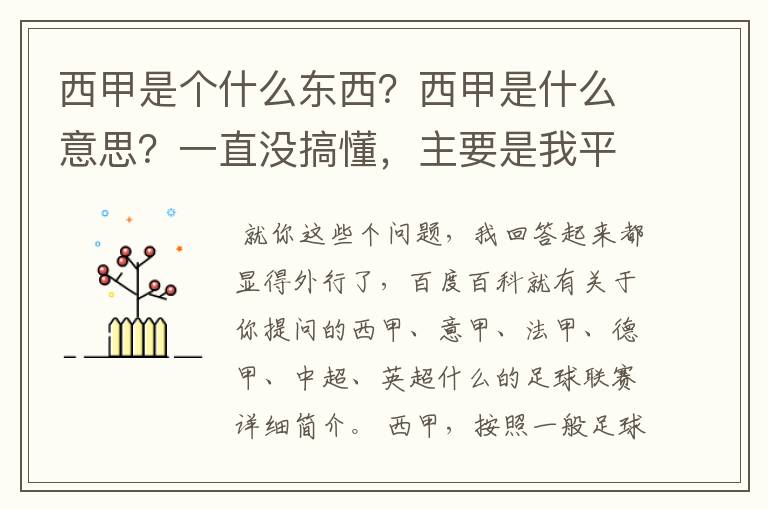 西甲是个什么东西？西甲是什么意思？一直没搞懂，主要是我平时基本不看西甲呀，足球什么的。ASD